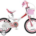 Royalbaby Jenny Princess Pink Girl’s Bike with Training Wheels and Basket, Perfect Gift for Kids, 16 inch wheels