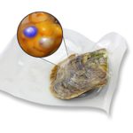 50pcs Twins Pearls Individual Package 6-7mm Saltwater Round Akoya Twins Pearl oyster in mix 9 colors