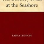 The Bobbsey Twins at the Seashore