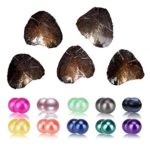 POSHOPS Oyster Pearls Fultured Cultured Oysters with Twin Pearls Inside Twin Oysters 10PC Random Color 7-8mm