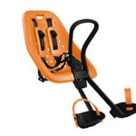 Thule Yepp Mini Child Bike Seat