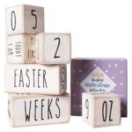 Baby Monthly Milestone Blocks – 6 Blocks, The Most Complete Set, Baby Photography Props for Social Media, Rustic Baby Nursery Decor (White)