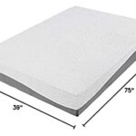 Olee Sleep 10 inch Aquarius Memory Foam Mattress – Twin