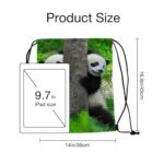 Sotunad Drawstring Bags Panda Bear Twins Funny Cute Wildlife Animal Hug To Tree Sport Gym Sack Drawstring Bag String Bag Yoga Bag 14×16.9 Inch