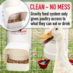 Royal Rooster Duck Feeder and Twin Waterer Set – Includes 1 Gallon Waterer with 2 Cups & 7lb Feeder for Ducks – Farm Backyard Coop Accessories with Hanging Duck Poultry Feeder and Duck Waterer Kit